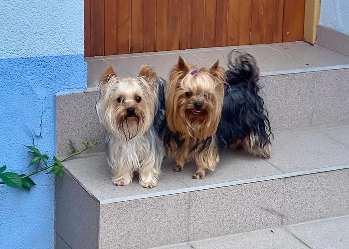 Pensjonat Cafe De La Creme 3*